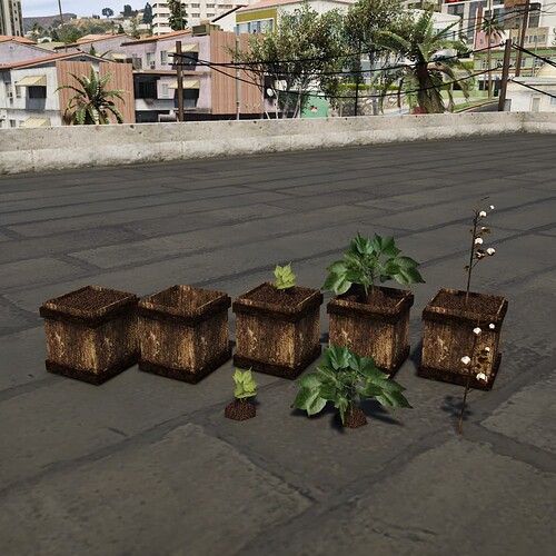 [PROPS] [PAID] Cotton plant Thumbnail