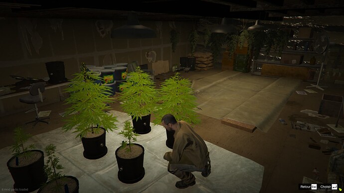 [MLO] Illegal Farmers Island thumbnail 20