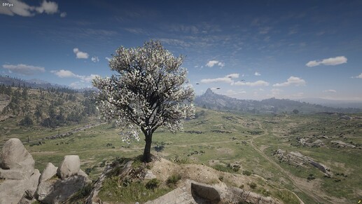 RedM_b1436_GTAProcess_WdgiT2AFid