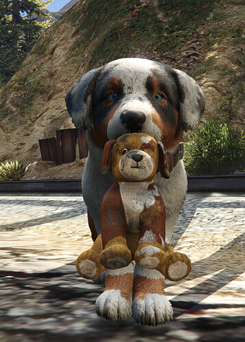 Puppy