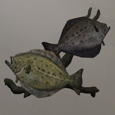 Driftwood Fish