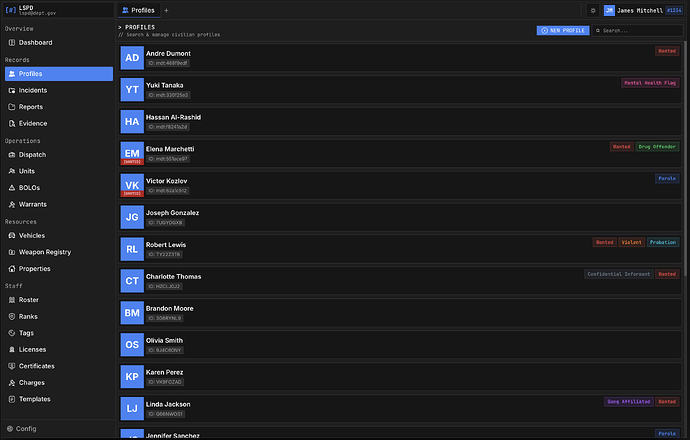 VX_MDT — LAW / EMS / JUDICIAL RECORDS PLATFORM thumbnail 2