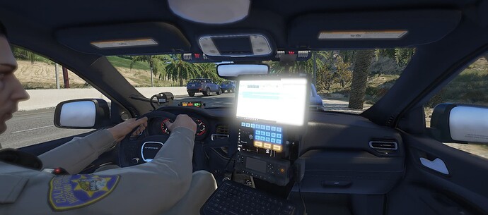 chpstop10