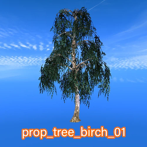 prop_tree_birch_01
