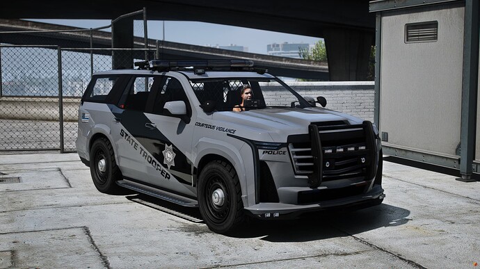 15 NEW Police Cars [POLICE PACK V1] - Callsigns, 3 Liveries, 3 Lightbars, AND MORE thumbnail 7