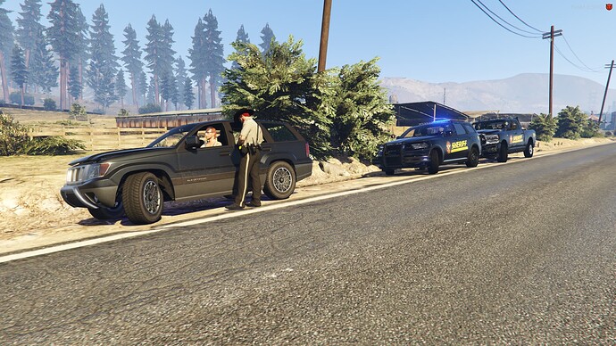 MCSO8