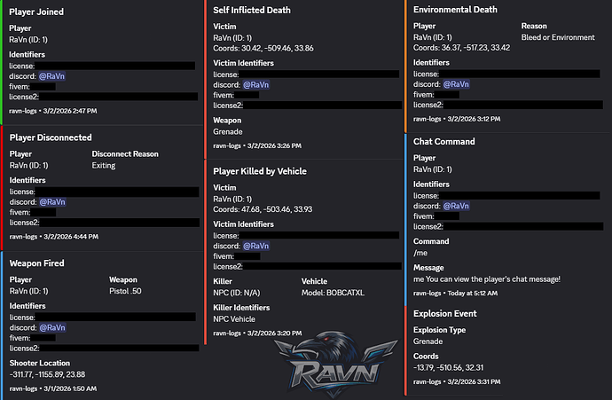 ravn-logs preview