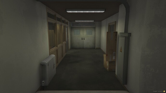 FiveM_b3407_GTAProcess_xASdHHLwtQ