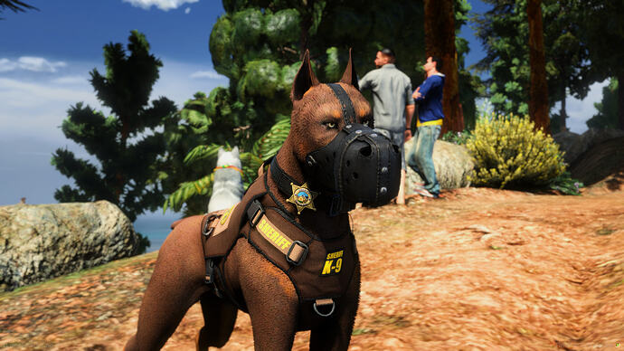 Doberman Adult K9 3