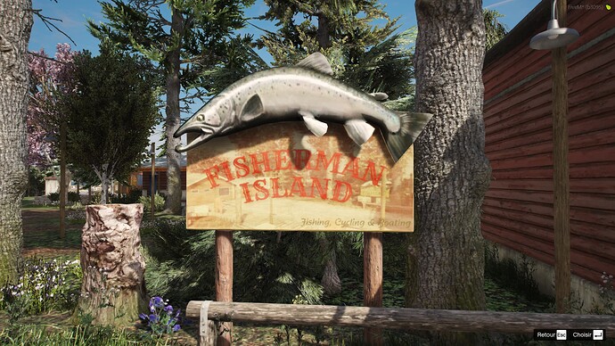 Capture d’écran (1884)