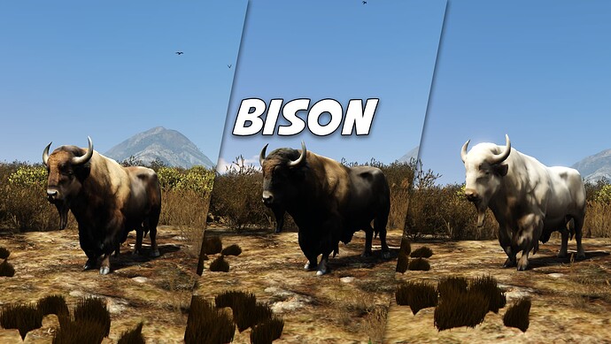 bisonprp