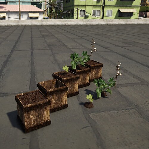 [PROPS] [PAID] Cotton plant thumbnail 3