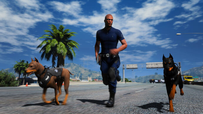 Dobermans