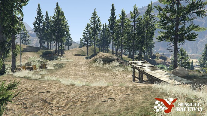 capture13