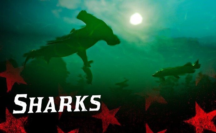 sharks_dodiban_redm-THUMB