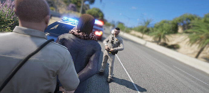 chpfelonystop9
