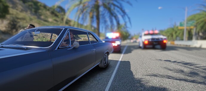 chpstop9