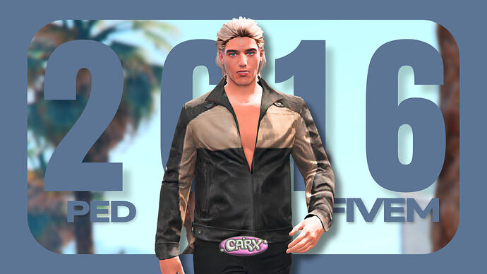 carx project (6)