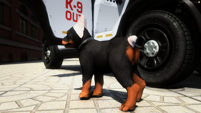 Doberman K9 Puppy 2