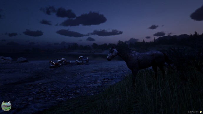 RedM_GTAProcess 2025-05-11 20-38-43_244