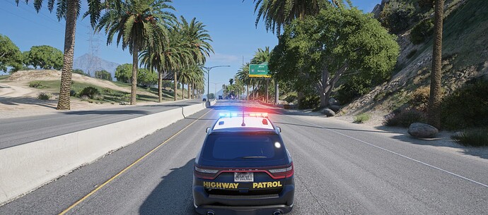 drivingchp1
