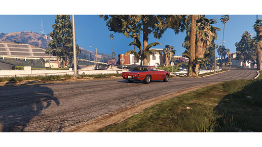 Vinewood Hills Gated Housing Community thumbnail 5