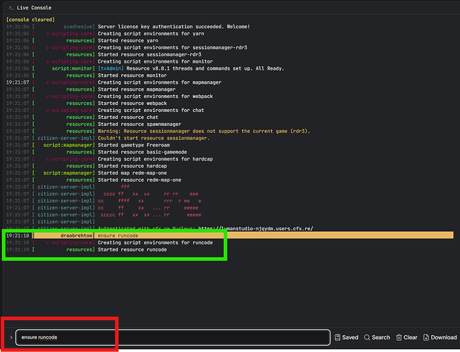 Typing into server console: ensure runcode