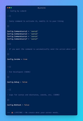 LYP CARRY SYSTEM thumbnail 5