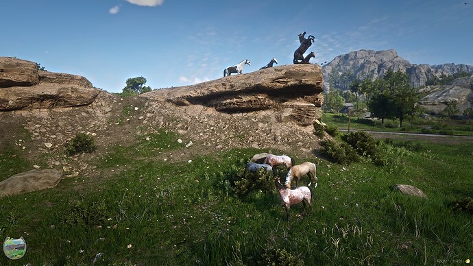 RedM_GTAProcess 2025-05-11 21-11-10_950