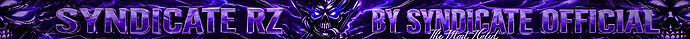 Serverdetails SYN RZ