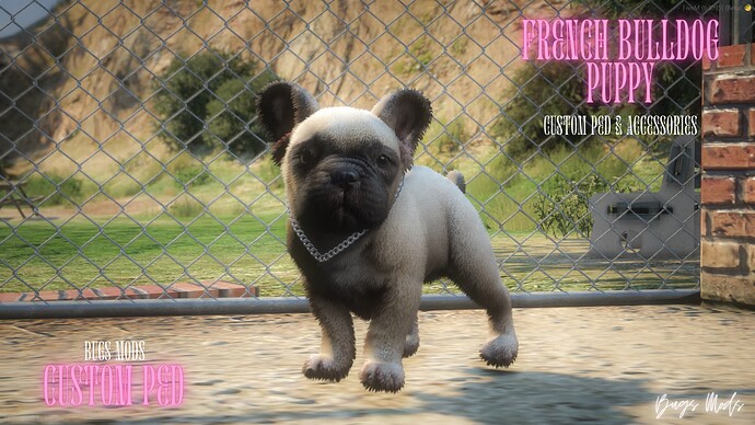 French Bulldog Puppy Thumbnail