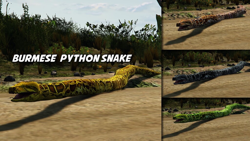 Burmese Python (Snake) - Addon Animal Ped - FiveM Releases - Cfx.re ...