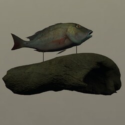 Driftwood Fish