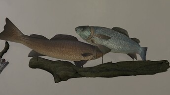 Driftwood Fish