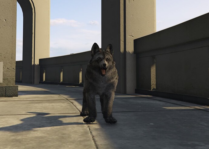 Screenshot 2025-03-09 013004