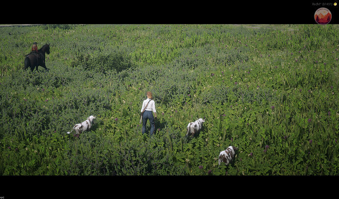 ranching2