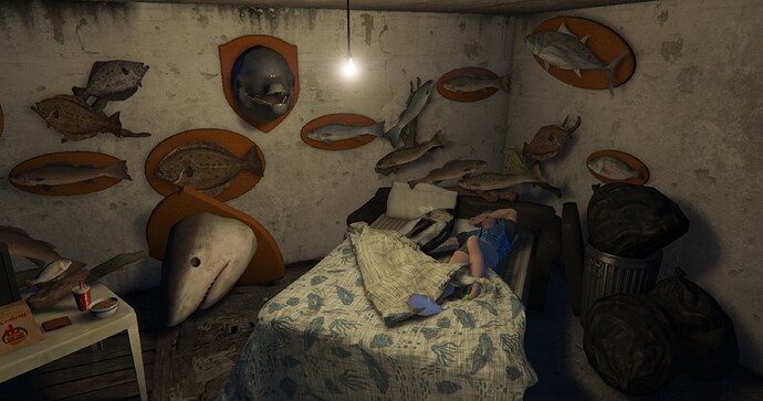 Your New Bedroom