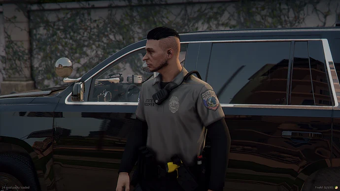 FiveM_b2699_GTAProcess_2025-05-11_19-46-40_71f7a7c9-7598-41cc-b015-c2989a5213f7