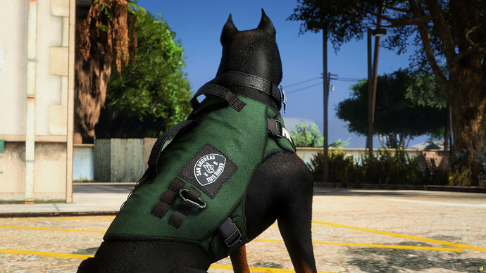 Doberman Adult K9 9
