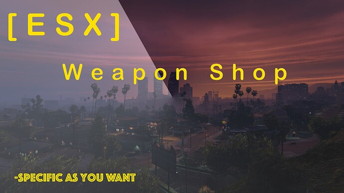 weapon shop