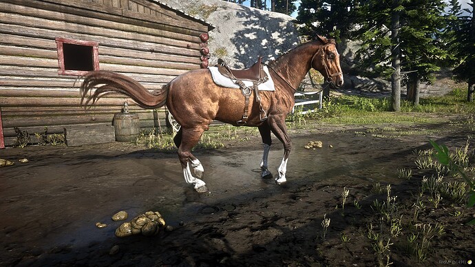 RedM_GTAProcess 2025-05-05 19-36-38_638