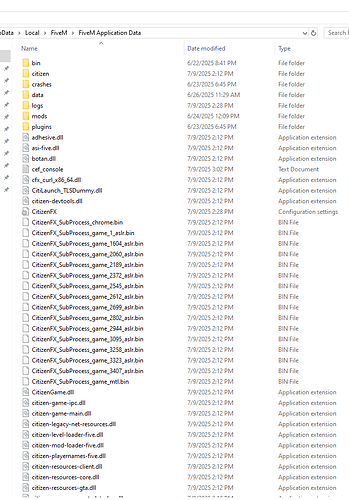 fivem folder 1.png