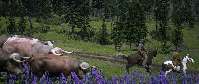 Screenshot 2025-05-12 212423