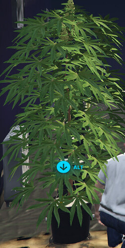 HEIST CONTRACTS, MDT, BOSSMENU, BLACKMARKET, WEED LAB | Laptop system 5