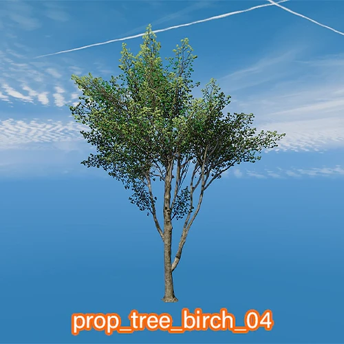 prop_tree_birch_04