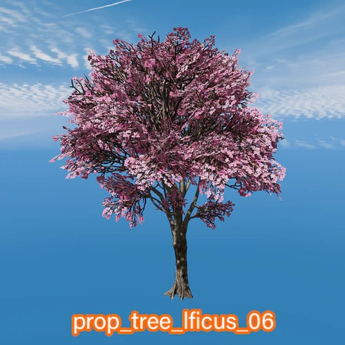 prop_tree_lficus_06