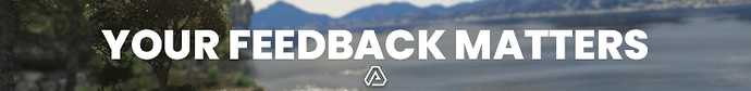 feedback 2