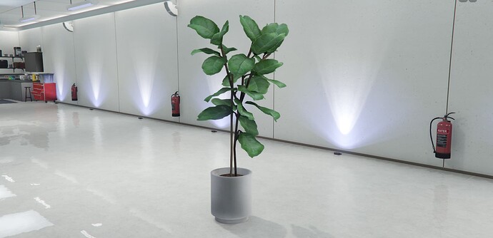 ▪ Plant