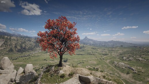 RedM_b1436_GTAProcess_rVFP0h3mQG