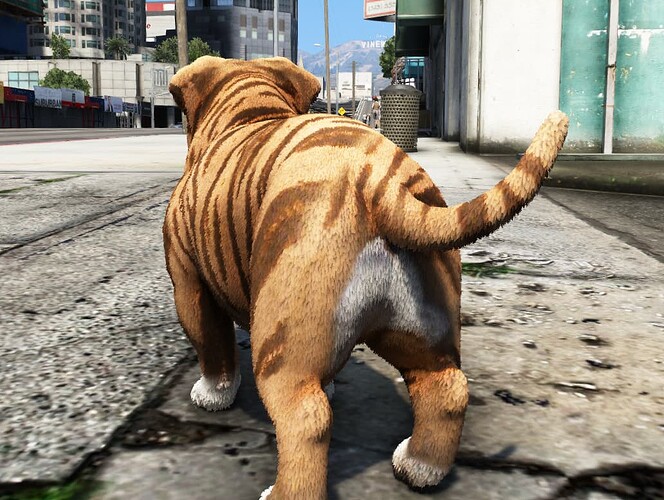 [PAID] FUTURE Exotic Bully [PED] [DOG] [PETS] thumbnail 2